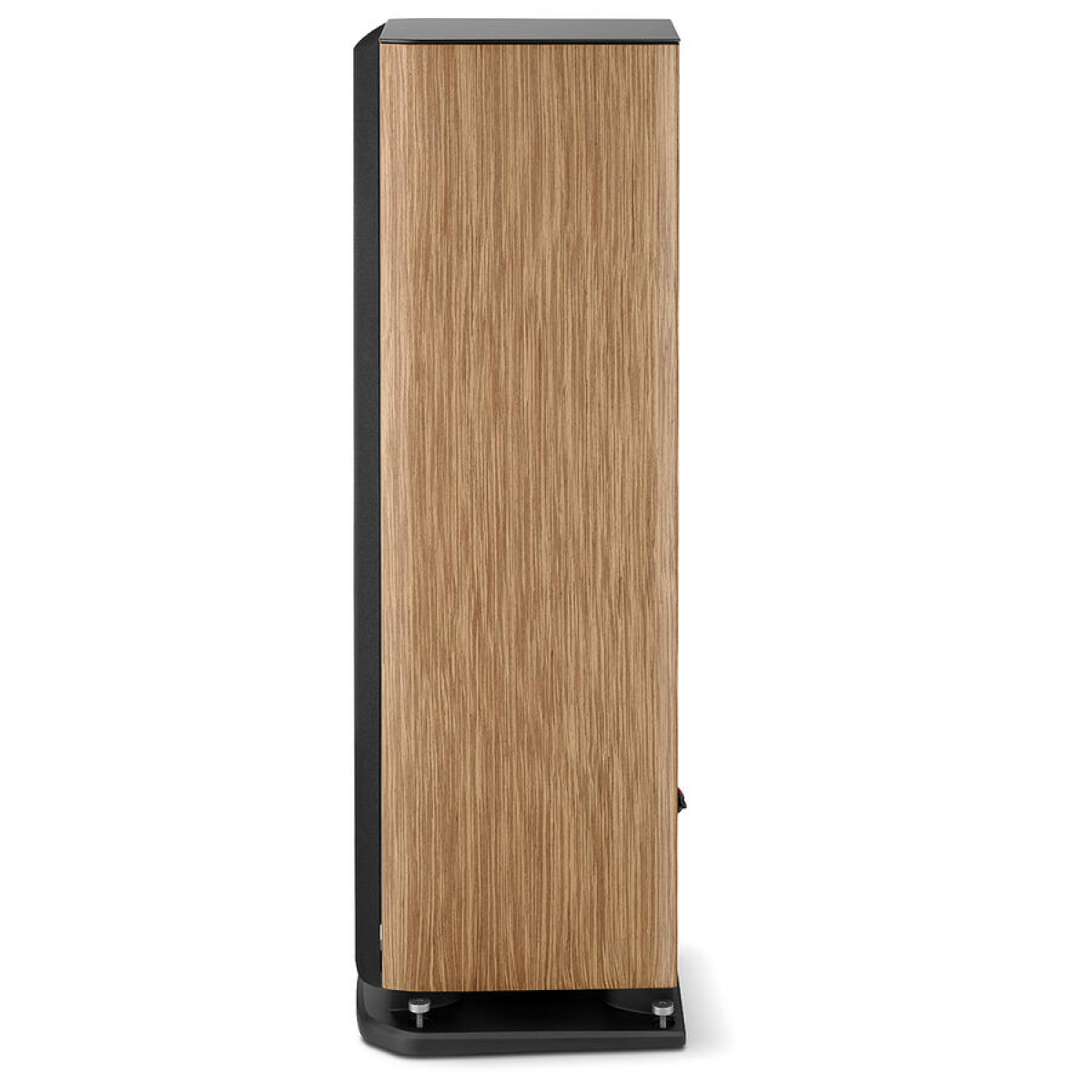 Focal Aria Evo X N3, prime walnut