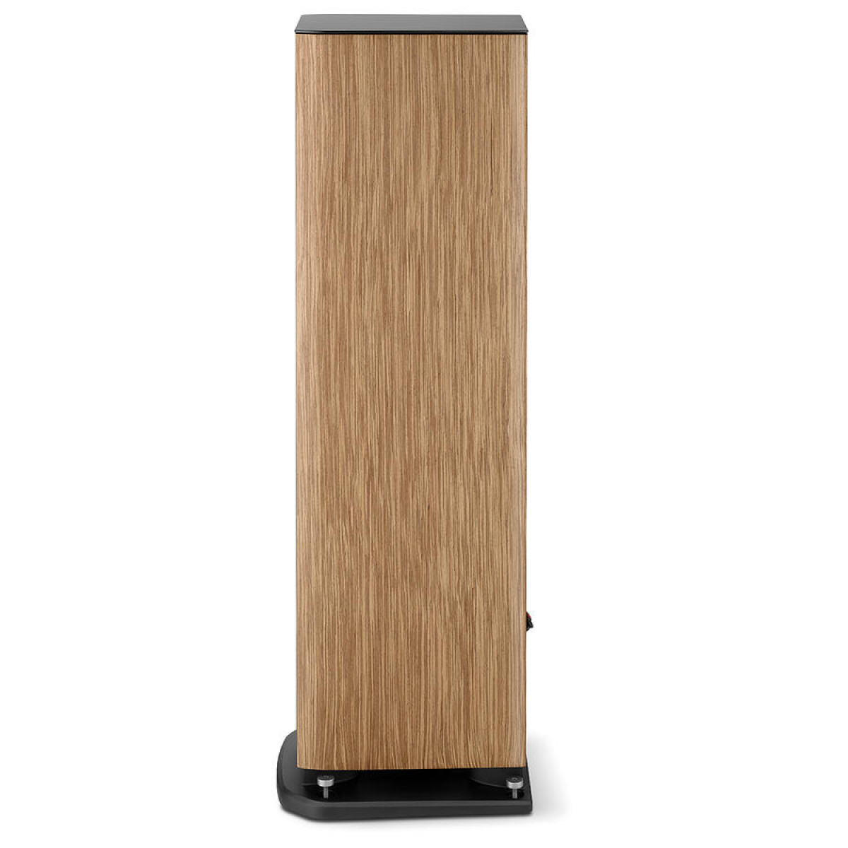 Focal Aria Evo X N3, prime walnut