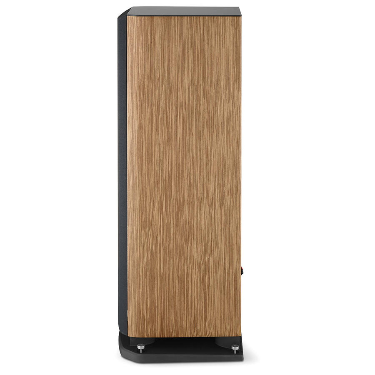 Focal Aria Evo X N4, prime walnut