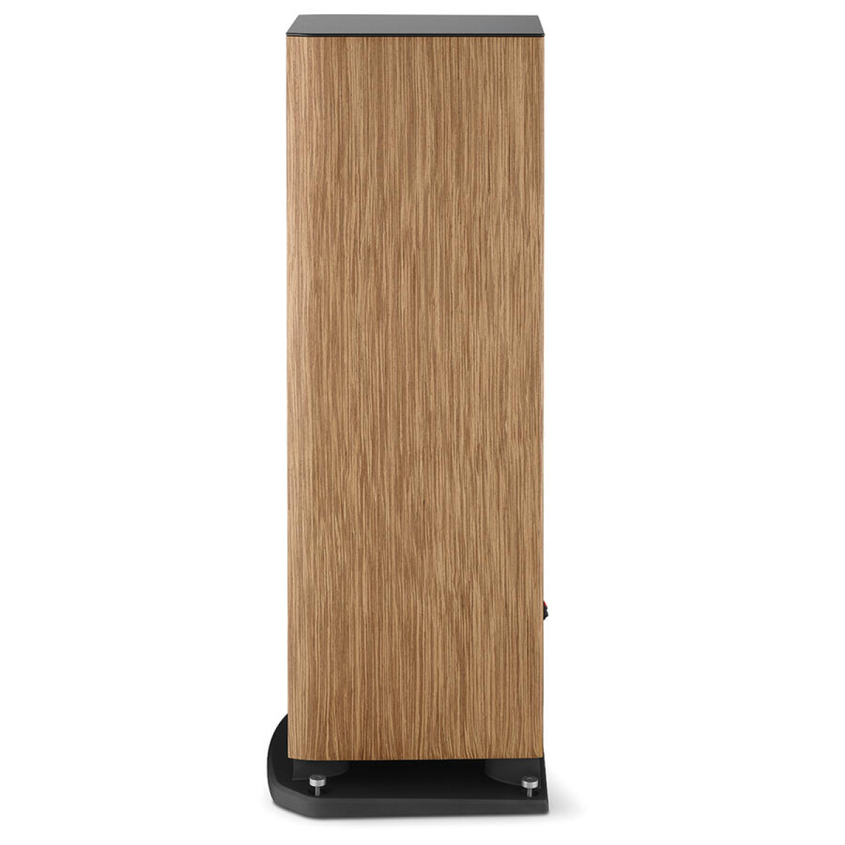 Focal Aria Evo X N4, prime walnut