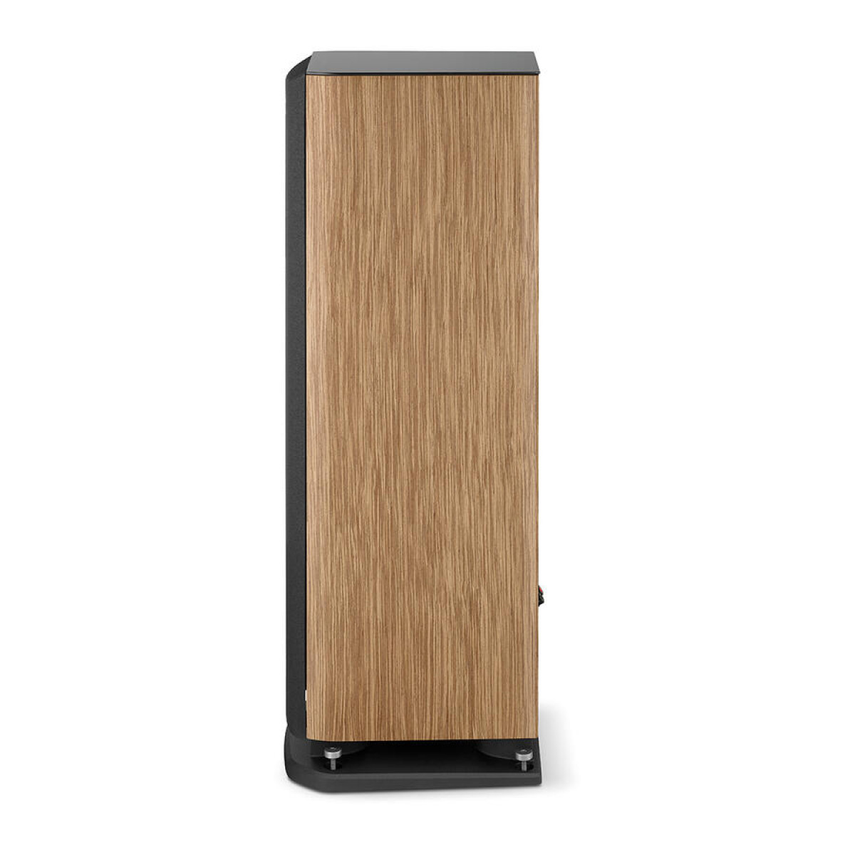 Focal Aria Evo X N2, prime walnut