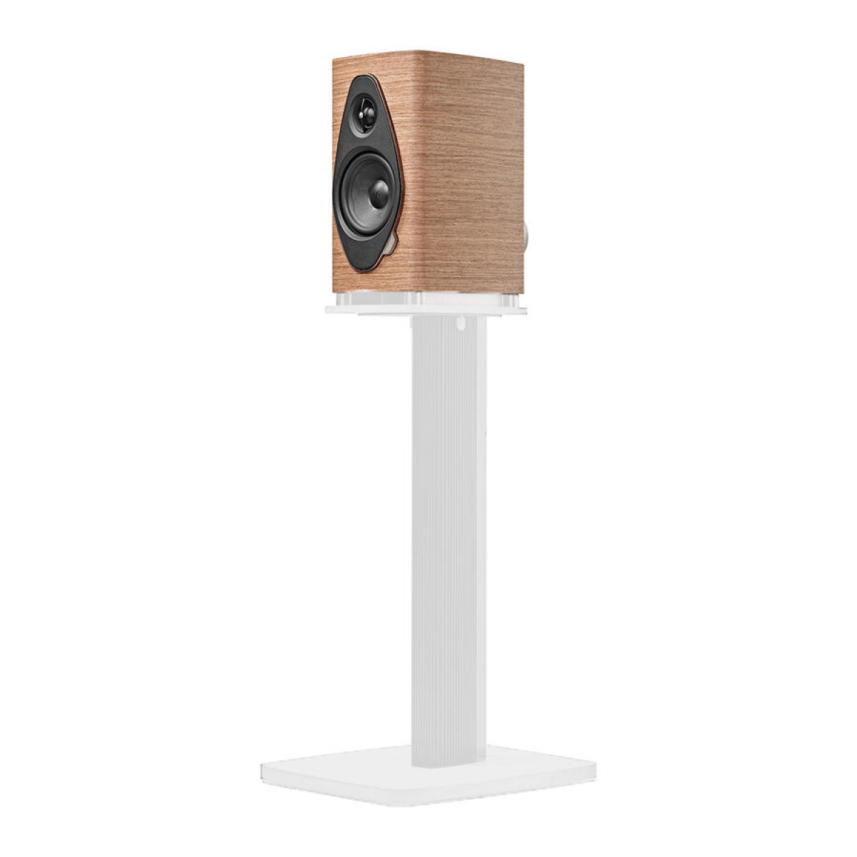 Sonus Faber Sonetto I G2, walnut