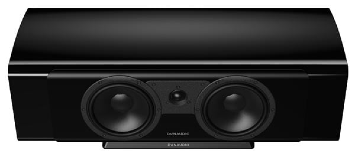 Dynaudio Contour 25Ci, nordic silver- фото5