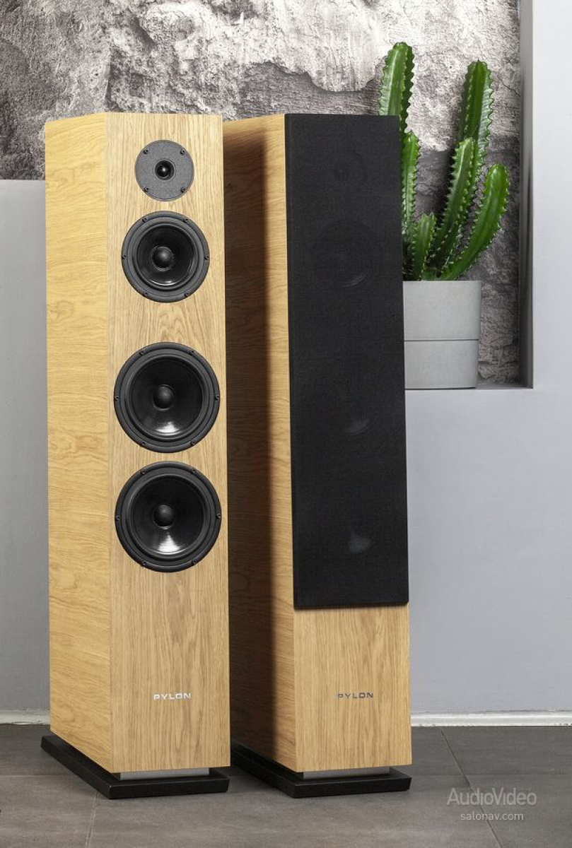 Pylon Audio Diamond 30 mkII Oak- фото4