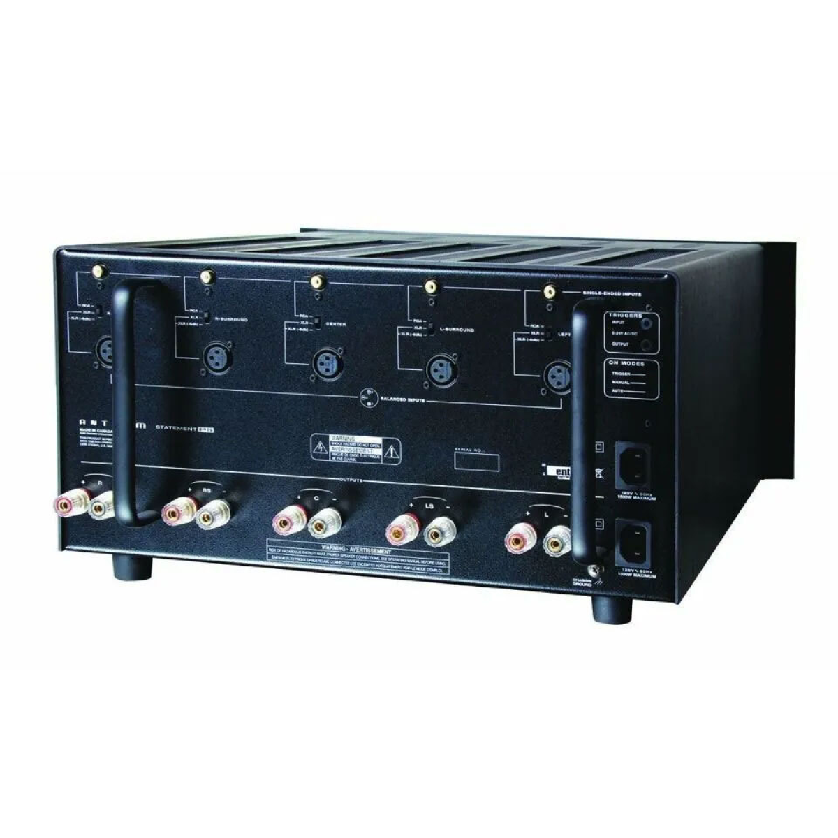 Anthem Statement P5- фото2