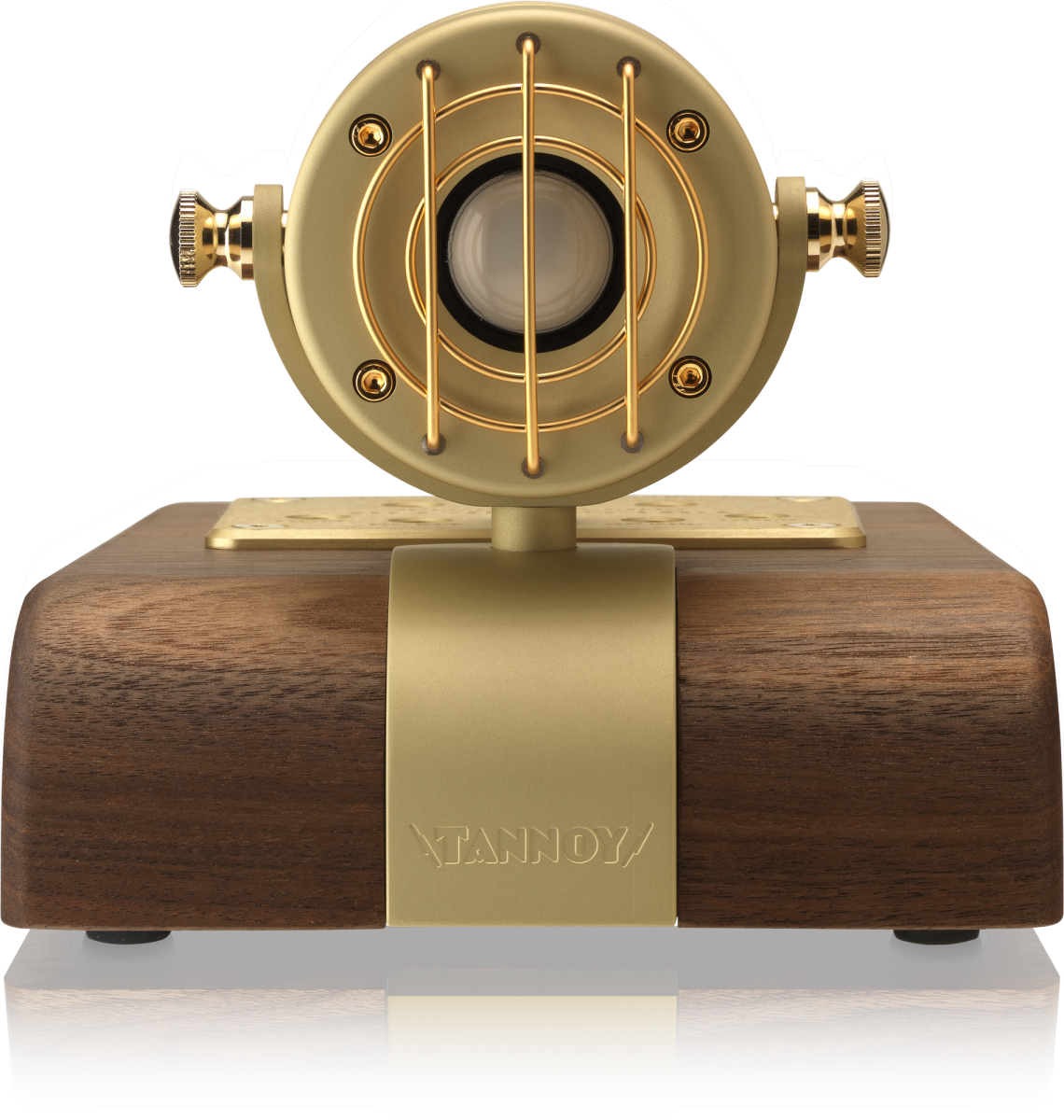 Tannoy Supertweeter Go- фото
