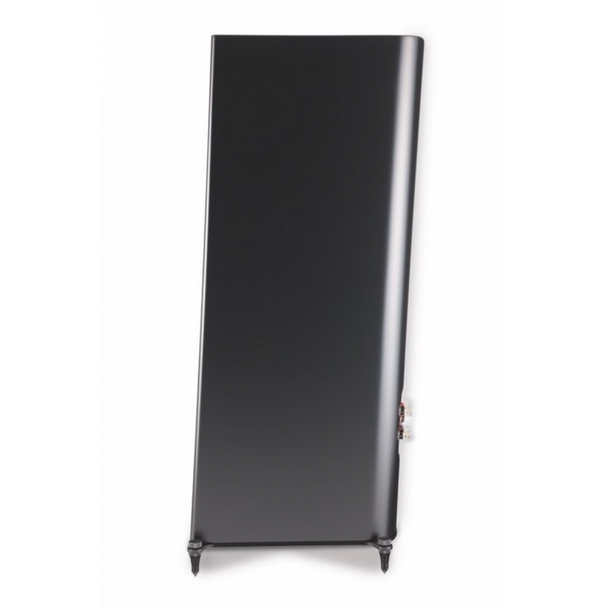T+A Criterion S 230 Rubbed Lacquer Black- фото2
