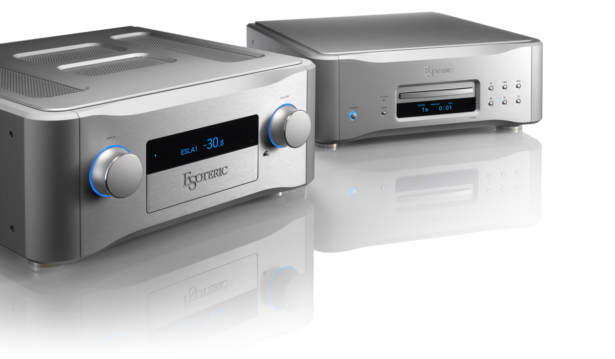 Esoteric F-01 Silver- фото4
