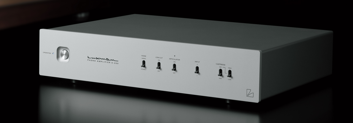 Luxman E-250 Silver- фото4