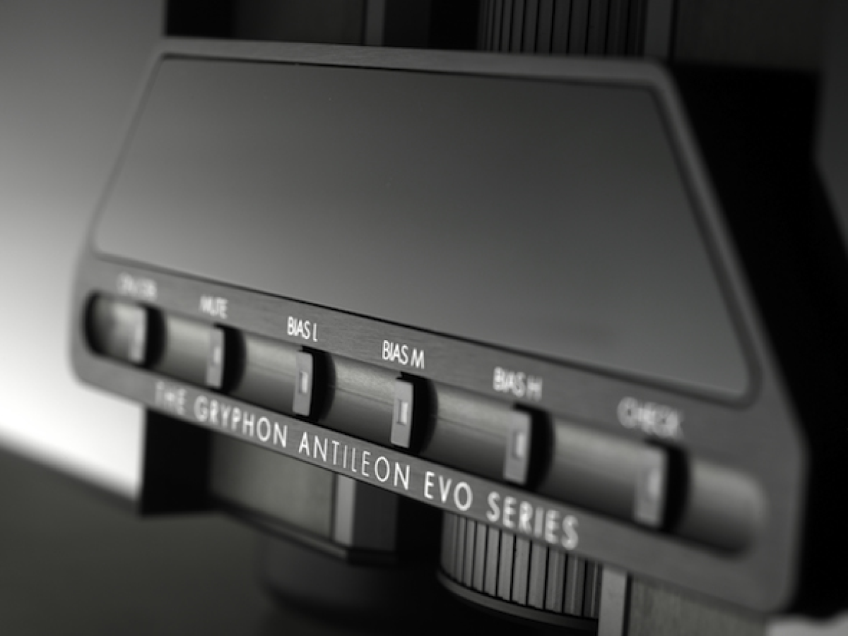 Gryphon Antileon EVO stereo/mono- фото3