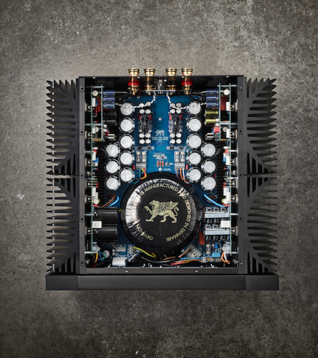 Gryphon Essence stereo/mono- фото4