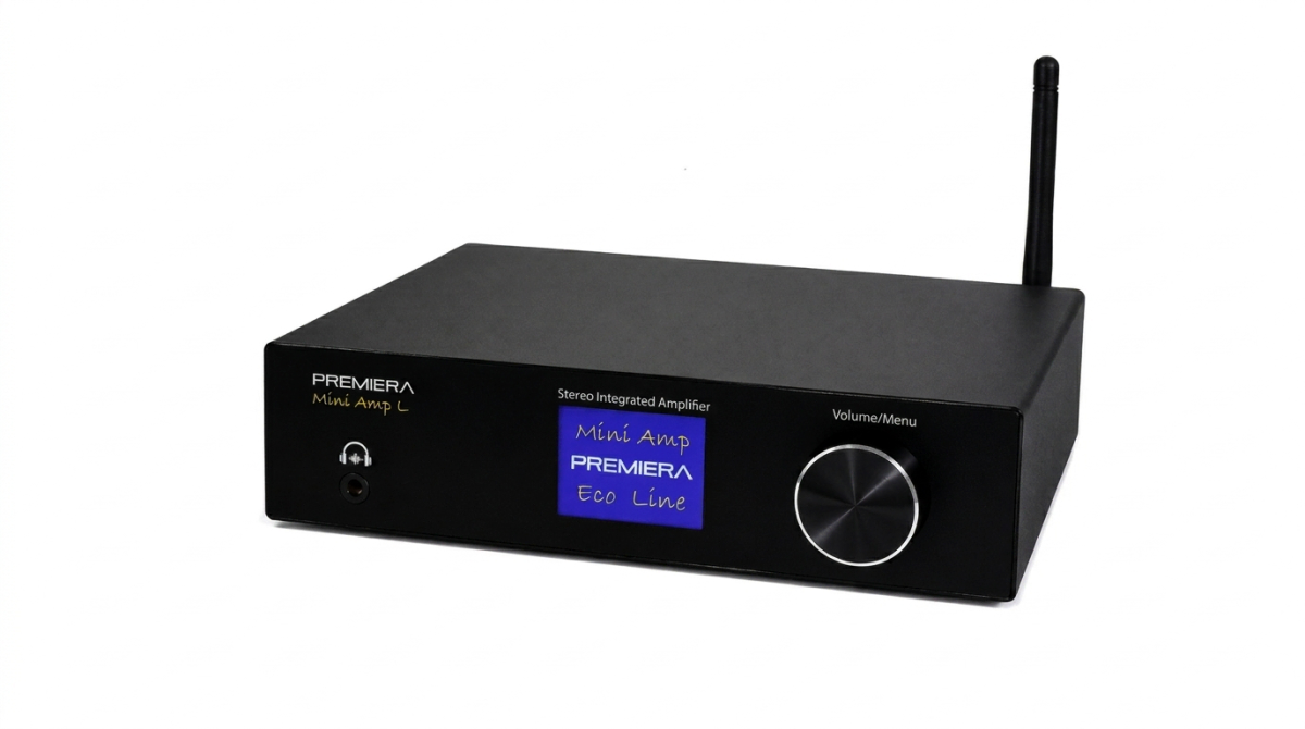 Premiera MINI AMP L, черный- фото2
