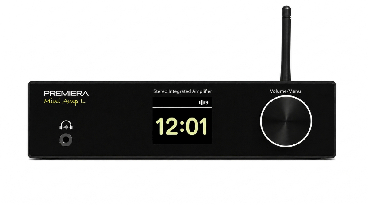 Premiera MINI AMP L, черный- фото4