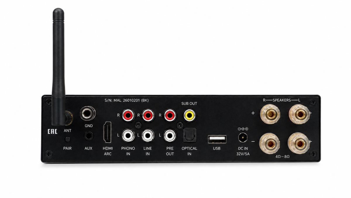 Premiera MINI AMP L, черный- фото3