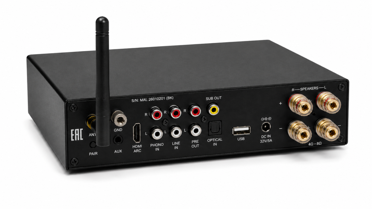 Premiera MINI AMP L, черный- фото5