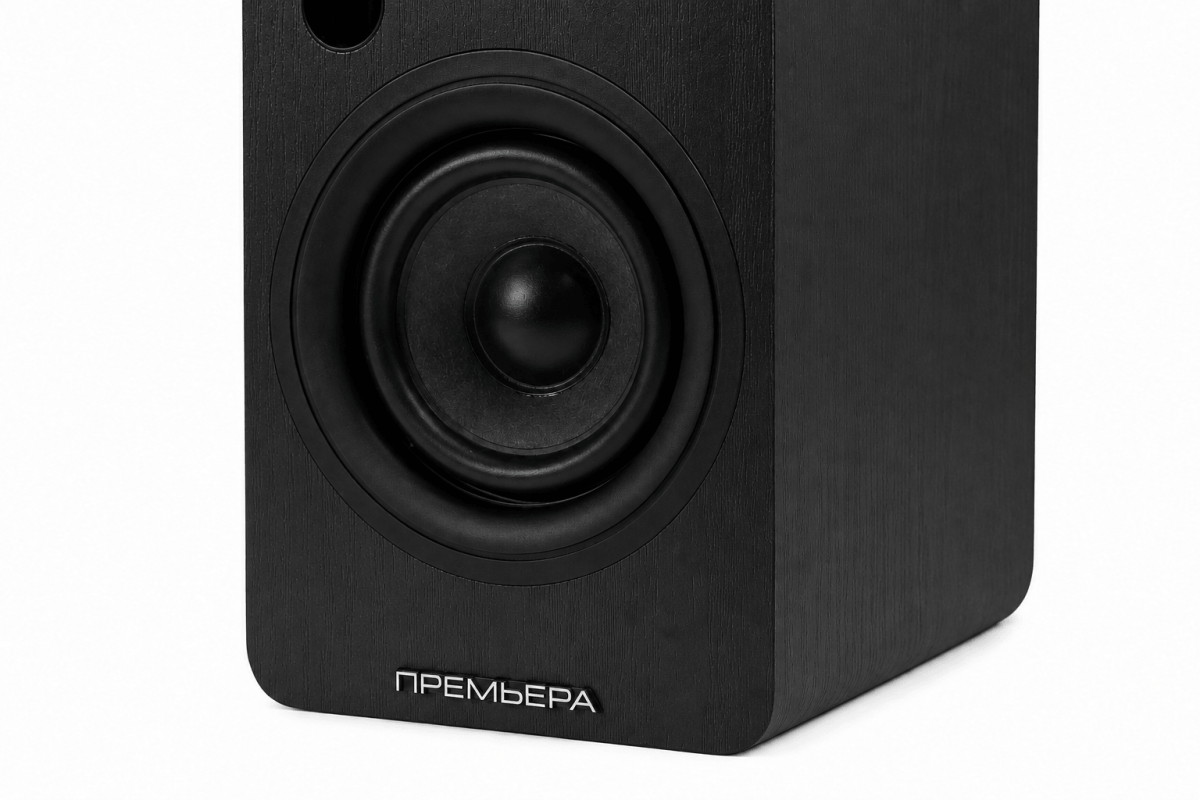 PREMIERA RS-301A, черный- фото5