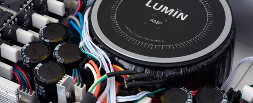 Lumin AMP Silver - фото4