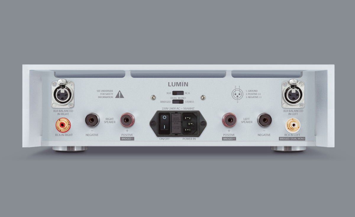 Lumin AMP Silver - фото3