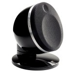 Focal Pack Dome Flax Black