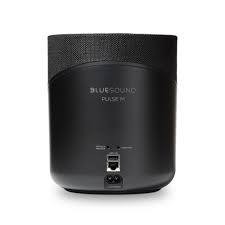 BlueSound Pulse M