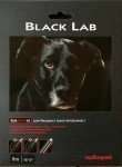 AudioQuest Black Lab
