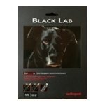 AudioQuest Black Lab