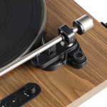 Phaze Audio Diana Walnut- фото4