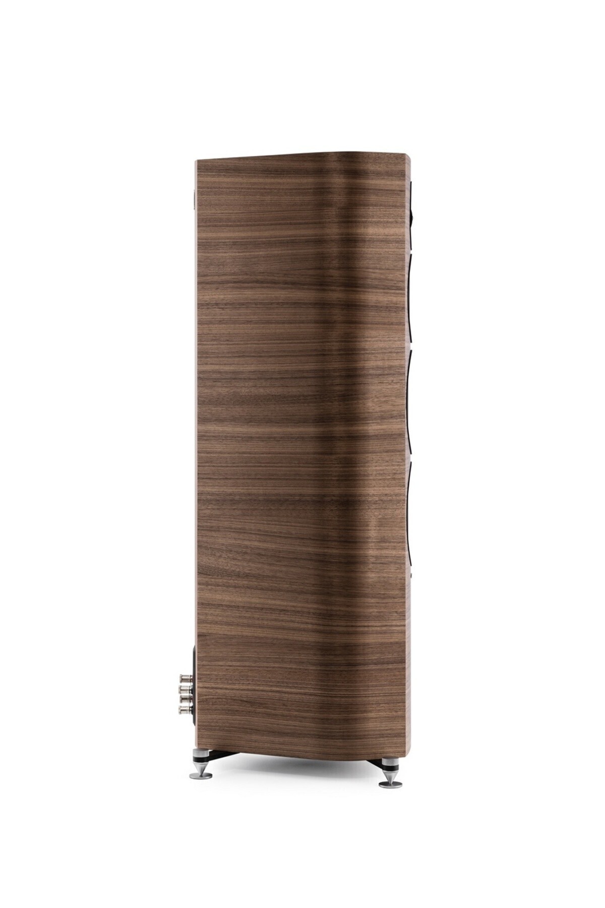 Sonus faber Sonetto V