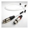 The CHORD Anthem Reference ARAY 2XLR to 2XLR, 1 