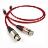 The CHORD Crimson Plus 2XLR to 2XLR, 1 